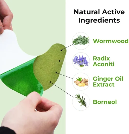 20 pcs Knee Patch Herbal Plaster - Image 3