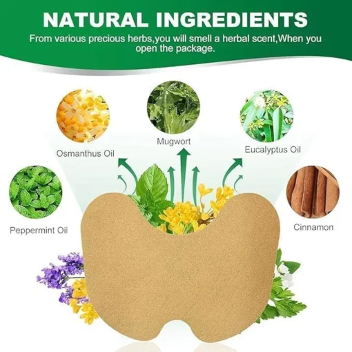 20 pcs Knee Patch Herbal Plaster - Image 8